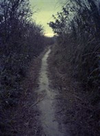 藏品(1950至2006年臺灣常民生活)的圖片