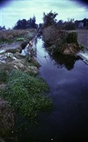藏品(1950至2006年臺灣常民生活)的圖片