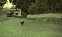 藏品(1950至2006年臺灣常民生活)的圖片