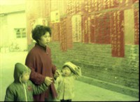 藏品(1950至2006年臺灣常民生活)的圖片