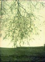 藏品(1950至2006年臺灣常民生活)的圖片