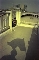 藏品(1950至2006年臺灣常民生活)的圖片