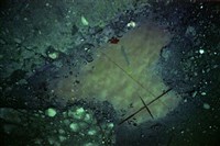 藏品(1950至2006年臺灣常民生活)的圖片