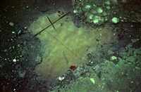 藏品(1950至2006年臺灣常民生活)的圖片