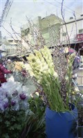藏品(1950至2006年臺灣常民生活)的圖片