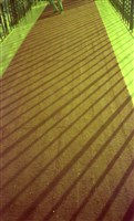 藏品(1950至2006年臺灣常民生活)的圖片