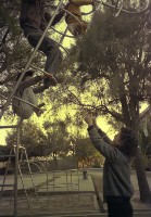 藏品(1950至2006年臺灣常民生活)的圖片