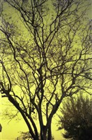 藏品(1950至2006年臺灣常民生活)的圖片