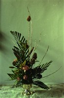 藏品(1950至2006年臺灣常民生活)的圖片