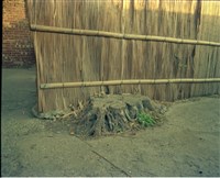 藏品(1950至2006年臺灣常民生活)的圖片