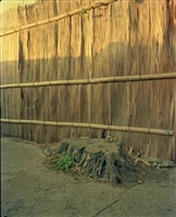 藏品(1950至2006年臺灣常民生活)的圖片