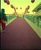 藏品(1950至2006年臺灣常民生活)的圖片