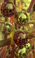 藏品(1950至2006年臺灣常民生活)的圖片