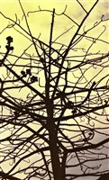 藏品(1950至2006年臺灣常民生活)的圖片