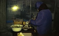 藏品(1950至2006年臺灣常民生活)的圖片