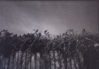 藏品(1950至2006年臺灣常民生活)的圖片