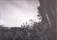 藏品(1950至2006年臺灣常民生活)的圖片