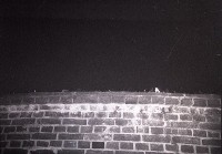 藏品(1950至2006年臺灣常民生活)的圖片