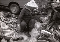 藏品(1950至2006年臺灣常民生活)的圖片