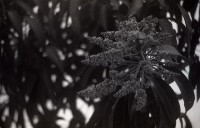 藏品(1950至2006年臺灣常民生活)的圖片