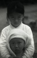 藏品(1950至2006年臺灣常民生活)的圖片