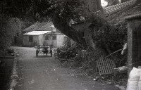 藏品(1950至2006年臺灣常民生活)的圖片