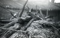 藏品(1950至2006年臺灣常民生活)的圖片