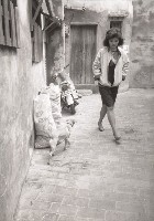 藏品(1950至2006年臺灣常民生活)的圖片