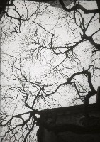 藏品(1950至2006年臺灣常民生活)的圖片