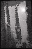 藏品(1950至2006年臺灣常民生活)的圖片