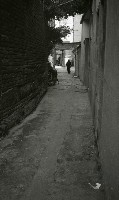 藏品(1950至2006年臺灣常民生活)的圖片