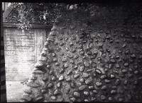 藏品(1950至2006年臺灣常民生活)的圖片