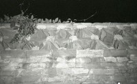 藏品(1950至2006年臺灣常民生活)的圖片