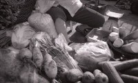 藏品(1950至2006年臺灣常民生活)的圖片