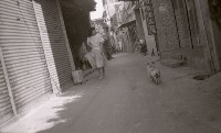 藏品(1950至2006年臺灣常民生活)的圖片