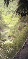 藏品(1950至2006年臺灣常民生活)的圖片