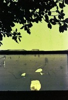 藏品(1950至2006年臺灣常民生活)的圖片