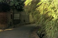 藏品(1950至2006年臺灣常民生活)的圖片