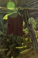 藏品(1950至2006年臺灣常民生活)的圖片