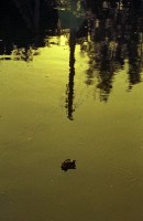 藏品(1950至2006年臺灣常民生活)的圖片