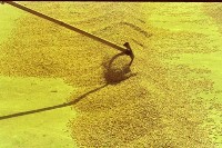 藏品(1950至2006年臺灣常民生活)的圖片