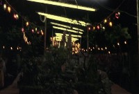 藏品(1950至2006年臺灣常民生活)的圖片