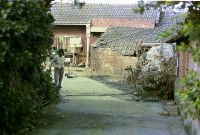 藏品(1950至2006年臺灣常民生活)的圖片