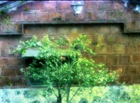 藏品(1950至2006年臺灣常民生活)的圖片