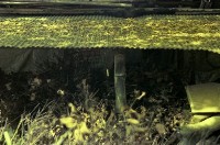 藏品(1950至2006年臺灣常民生活)的圖片