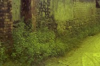 藏品(1950至2006年臺灣常民生活)的圖片
