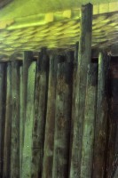 藏品(1950至2006年臺灣常民生活)的圖片