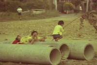 藏品(1950至2006年臺灣常民生活)的圖片