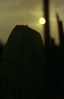 藏品(1950至2006年臺灣常民生活)的圖片