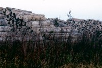 藏品(1950至2006年臺灣常民生活)的圖片